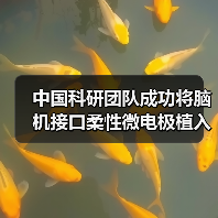 中国科研团队成功将脑机接口柔性微电极植入机器人CyberSense(图3) 中国科研团队成功将脑机接口柔性微电极植入机器人CyberSense(图3)