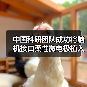 中国科研团队成功将脑机接口柔性微电极植入机器人CyberSense(图1) 中国科研团队成功将脑机接口柔性微电极植入机器人CyberSense(图1)