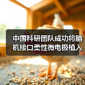 中国科研团队成功将脑机接口柔性微电极植入机器人CyberSense(图4) 中国科研团队成功将脑机接口柔性微电极植入机器人CyberSense(图4)
