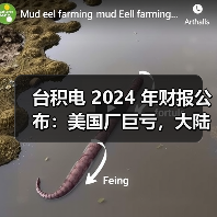 台积电 2024 年财报公布:美国厂巨亏,大陆厂大赚(图3) 台积电 2024 年财报公布:美国厂巨亏,大陆厂大赚(图3)