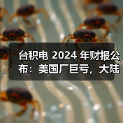台积电 2024 年财报公布:美国厂巨亏,大陆厂大赚(图2) 台积电 2024 年财报公布:美国厂巨亏,大陆厂大赚(图2)