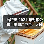 台积电 2024 年财报公布:美国厂巨亏,大陆厂大赚(图1) 台积电 2024 年财报公布:美国厂巨亏,大陆厂大赚(图1)