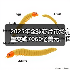 2025年全球芯片市场有望突破7060亿美元,但增长挑战亦大(图2) 2025年全球芯片市场有望突破7060亿美元,但增长挑战亦大(图2)