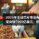 2025年全球芯片市场有望突破7060亿美元,但增长挑战亦大(图3) 2025年全球芯片市场有望突破7060亿美元,但增长挑战亦大(图3)