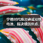 宁德时代推出骁遥双核电池,解决续航焦虑、安全等核心痛点(图4) 宁德时代推出骁遥双核电池,解决续航焦虑、安全等核心痛点(图4)
