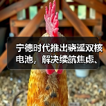 宁德时代推出骁遥双核电池,解决续航焦虑、安全等核心痛点(图3) 宁德时代推出骁遥双核电池,解决续航焦虑、安全等核心痛点(图3)
