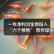 一年净利润全部投入,“六个核桃” 跨界增资长江存储母公司(图4) 一年净利润全部投入,“六个核桃” 跨界增资长江存储母公司(图4)