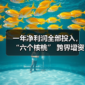 一年净利润全部投入,“六个核桃” 跨界增资长江存储母公司(图3) 一年净利润全部投入,“六个核桃” 跨界增资长江存储母公司(图3)