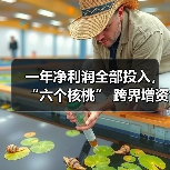 一年净利润全部投入,“六个核桃” 跨界增资长江存储母公司(图2) 一年净利润全部投入,“六个核桃” 跨界增资长江存储母公司(图2)