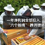 一年净利润全部投入,“六个核桃” 跨界增资长江存储母公司(图1) 一年净利润全部投入,“六个核桃” 跨界增资长江存储母公司(图1)
