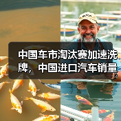 中国车市淘汰赛加速洗牌，中国进口汽车销量下降39%（图3）