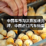 中国车市淘汰赛加速洗牌，中国进口汽车销量下降39%（图4）