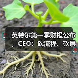 英特尔第一季财报公布，CEO：砍流程、砍层级、押技术（图4）