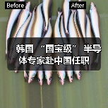 韩国 “国宝级” 半导体专家赴中国任职（图1）