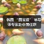 韩国 “国宝级” 半导体专家赴中国任职（图4）