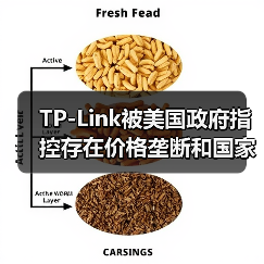 TP-Link被美国政府指控存在价格垄断和国家安全风险（图3）