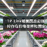 TP-Link被美国政府指控存在价格垄断和国家安全风险（图4）