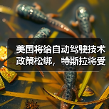 美国将给自动驾驶技术政策松绑,特斯拉将受益(图1) 美国将给自动驾驶技术政策松绑,特斯拉将受益(图1)