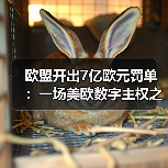 欧盟开出7亿欧元罚单:一场美欧数字主权之争(图3) 欧盟开出7亿欧元罚单:一场美欧数字主权之争(图3)