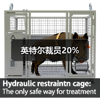 英特尔裁员20%(图1) 英特尔裁员20%(图1)
