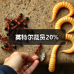 英特尔裁员20%(图3) 英特尔裁员20%(图3)