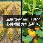 三星电子4nm HBM4芯片初期良率达40%,但仍存量产挑战(图3) 三星电子4nm HBM4芯片初期良率达40%,但仍存量产挑战(图3)