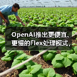 OpenAI推出更便宜、更慢的Flex处理模式,用于“非生产”任务(图3) OpenAI推出更便宜、更慢的Flex处理模式,用于“非生产”任务(图3)
