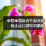 中欧半导体合作新进展:稀土出口或松绑助推供应链稳定(图1) 中欧半导体合作新进展:稀土出口或松绑助推供应链稳定(图1)