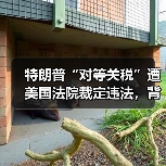 特朗普“对等关税”遭美国法院裁定违法，背后原因揭秘（图1）