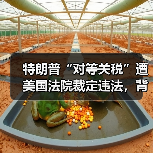 特朗普“对等关税”遭美国法院裁定违法，背后原因揭秘（图2）