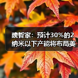 魏哲家:预计30%的2纳米以下产能将布局美国亚利桑那州(图2) 魏哲家:预计30%的2纳米以下产能将布局美国亚利桑那州(图2)