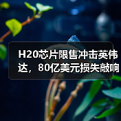 H20芯片限售冲击英伟达,80亿美元损失敲响警钟(图1) H20芯片限售冲击英伟达,80亿美元损失敲响警钟(图1)