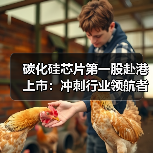 碳化硅芯片第一股赴港上市:冲刺行业领航者(图3) 碳化硅芯片第一股赴港上市:冲刺行业领航者(图3)