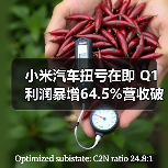 小米汽车扭亏在即 Q1利润暴增64.5%营收破千亿(图4) 小米汽车扭亏在即 Q1利润暴增64.5%营收破千亿(图4)