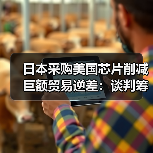 日本采购美国芯片削减巨额贸易逆差：谈判筹码还是战略布局？（图1）