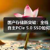 国产存储新突破:全栈自主PCIe 5.0 SSD如何实现高性能?(图4) 国产存储新突破:全栈自主PCIe 5.0 SSD如何实现高性能?(图4)