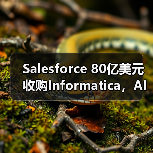 Salesforce 80亿美元收购Informatica，AI数据战略升级（图2）