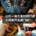 三位一体方案如何打破大模型开发高门槛？（图3）