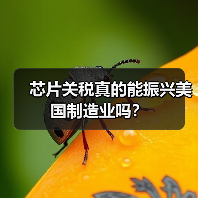 芯片关税真的能振兴美国制造业吗？（图3）
