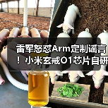 雷军怒怼Arm定制谣言！小米玄戒O1芯片自研真相曝光（图2）