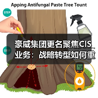 豪威集团更名聚焦CIS业务:战略转型如何重塑市场格局?(图3) 豪威集团更名聚焦CIS业务:战略转型如何重塑市场格局?(图3)