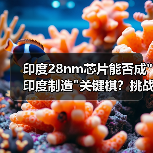 印度28nm芯片能否成 印度28nm芯片能否成