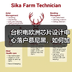 台积电欧洲芯片设计中心落户慕尼黑，如何加速欧洲半导体供应链升级（图4）