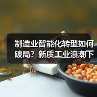制造业智能化转型如何破局？新质工业浪潮下的破局之道（图2）