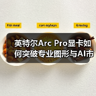 英特尔Arc Pro显卡如何突破专业图形与AI市场？（图4）