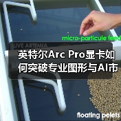 英特尔Arc Pro显卡如何突破专业图形与AI市场？（图2）