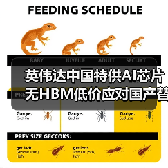 英伟达中国特供AI芯片无HBM低价应对国产替代挑战（图1）