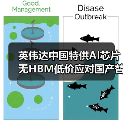 英伟达中国特供AI芯片无HBM低价应对国产替代挑战（图2）