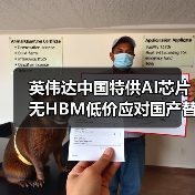 英伟达中国特供AI芯片无HBM低价应对国产替代挑战（图4）