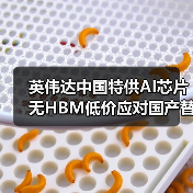 英伟达中国特供AI芯片无HBM低价应对国产替代挑战（图3）